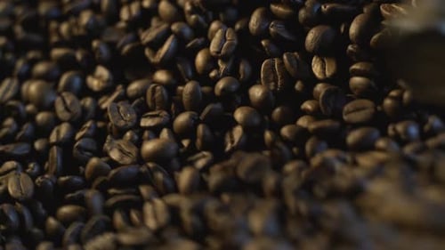 Of Aromatic Coffee Beans Roasting. close up