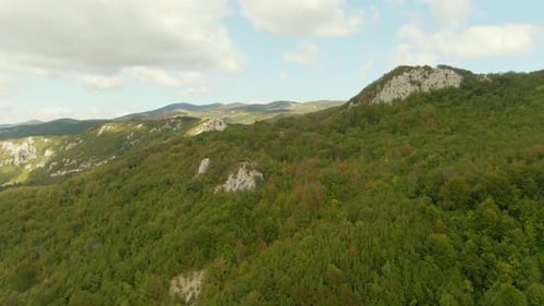 Eine Drohne schoss über einem Wald in einem Naturpark. Der Wald erstreckt sich zusammen mit vielen Bergen auf