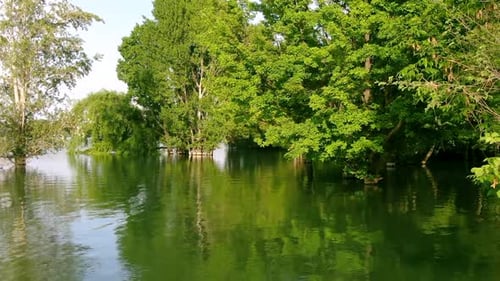 Aerial view of water reservoir with green trees