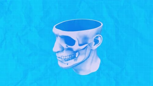 Human Head And Brain Removed With Skull Blueprint