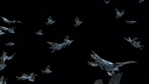 Large Flock of Flying Crows with Realistic Movement