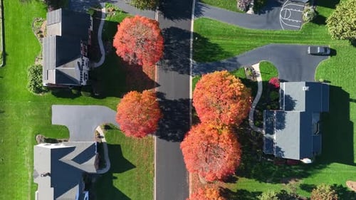 Aerial View of Suburban Houses and Autumn Trees