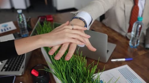 Cheerful Colleagues Celebrate Success in Modern Office