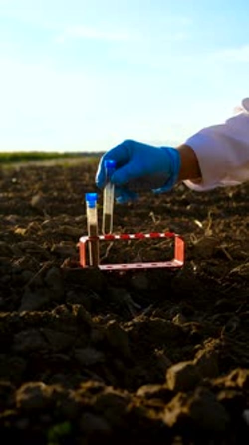 Field Soil Samples for Analysis Selective Focus