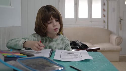 Little boy doing homework at home