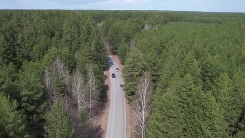 Luftaufnahmen von Autos auf einer Waldstraße