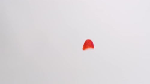 Sliced Strawberries Deliciously Falling on White Background