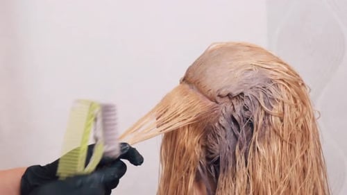 Hairdresser Applying Dye to Long Hair in Salon