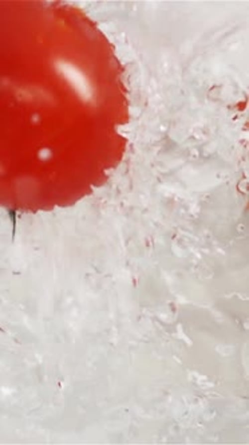 Vertical of Few Red Tomatoes Falling and Plunging in Water White Background
