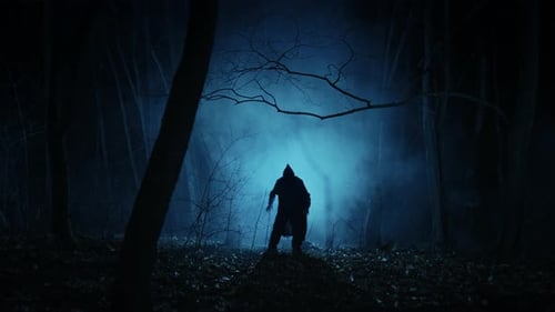 A Lonely and Frightening Figure of a Witcher in a Dark Forest at Night A Man in a Dark Robe with a