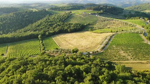 Scenic Aerial View of Tuscany’s Vineyards and Countryside at Sunset, Italy