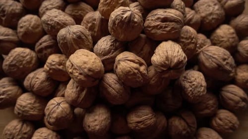 Walnuts. Camera slowly moves up to show close-up of beautiful walnuts
