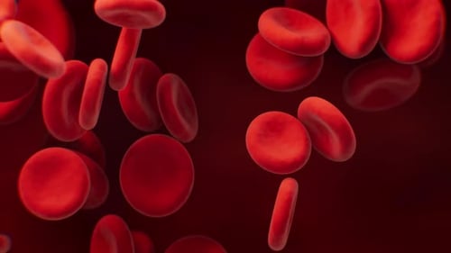 Rote Blutkörperchen mit biologischem und medizinischem Konzept