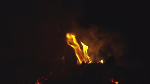 Campfire at night during a trip