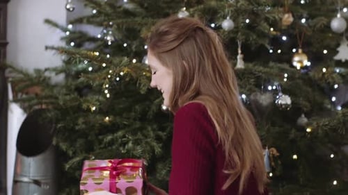 Women Exchanging Christmas Gifts near Christmas Tree