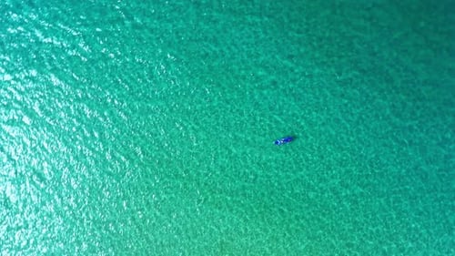 Sea, adventure and people paddle boarding from drone with blue water, freedom and tropical holiday
