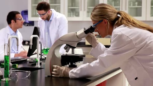 Junge Wissenschaftler arbeiten im Labor zusammen