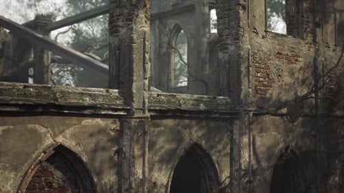 Weathered Gothic Ruins Tracking Shot