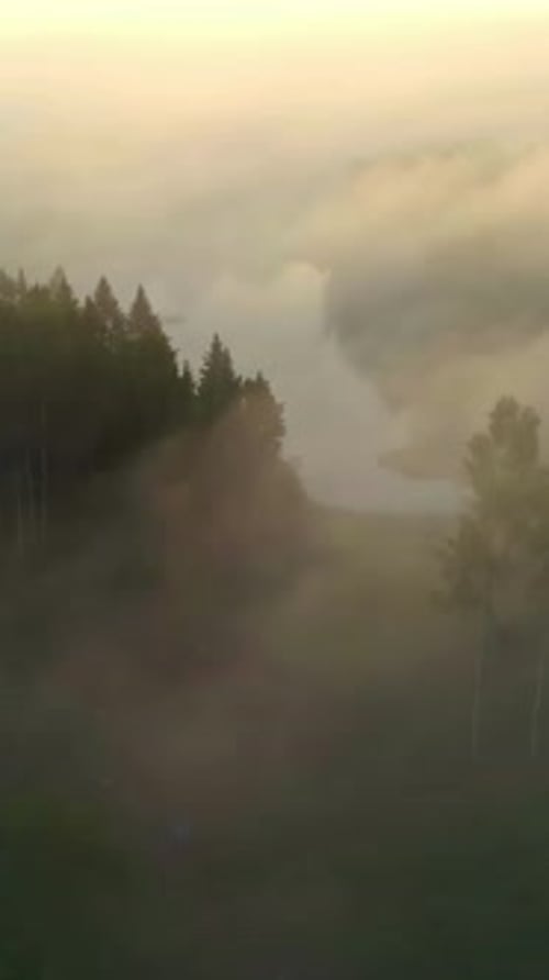 Vue aérienne de la forêt brumeuse et de la rivière au lever du soleil avec une douce lumière dorée