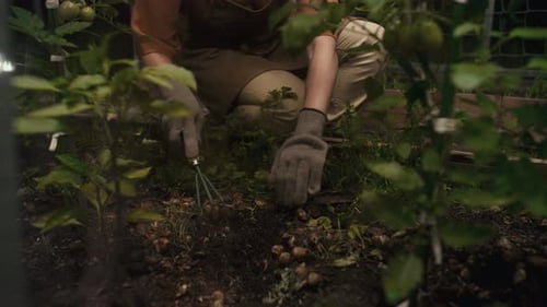 Gardener Tending Vegetable Garden Soil