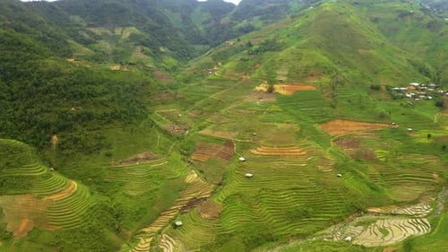 Massive valley packed full of lush green rice terraces in northern Vietnam. Aerial pan right.