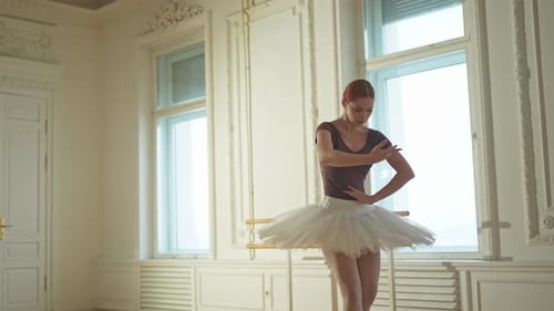 Elegant Ballerina Practicing Ballet in Bright Studio