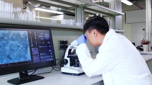 Scientist Working With Microscope in Bright Laboratory