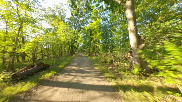 fast dirt gravel bike ride run under tree canopy forest. Smooth first ...