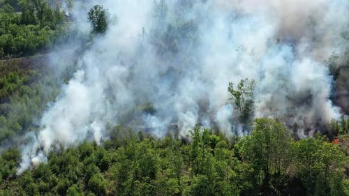 Brennende Rauchwolken von Waldbränden, die Drohnenaufnahme aus der Luft umkreisen