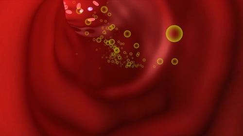Globules rouges contenant des particules jaunes circulant dans l'artère