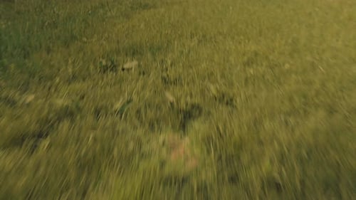 Menino correndo rápido sobre o prado com mochila.