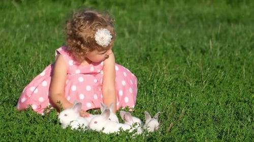 A Beautiful Little Girl is Playing on the Green Grass She is Holding a White Rabbit in Her Hands