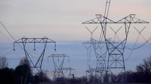 Long telephoto shot of electrical pylons with winter trees against an overcast sky.