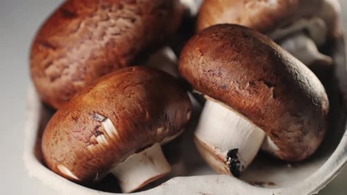 Fresh Champignon Mushrooms Big Portobello Macro Side View Background Chef Man Hold Supermarket Food
