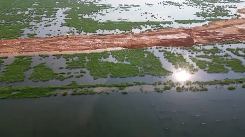 Blick aus der Vogelperspektive auf die Rodung von Feuchtgebieten