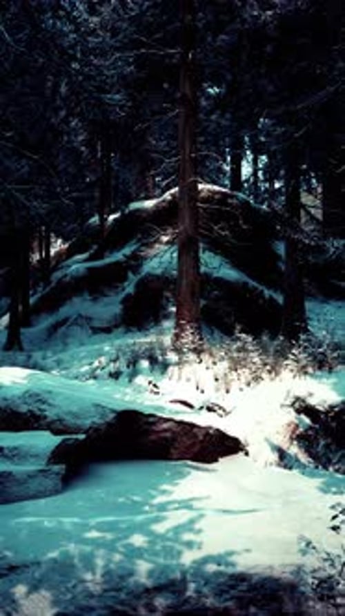 Winter Tranquility in a Serene Snowy Forest Landscape By a Quiet Hill