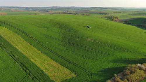 Green Wavy Hills with Agricultural Fields