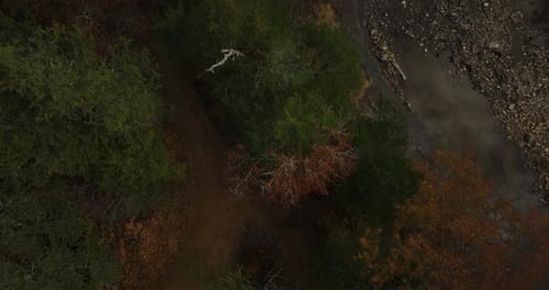 Above View Of Autumn Trees And Creek On Cedar Flats In Banyard, Arkansas, USA. Aerial Drone Shot