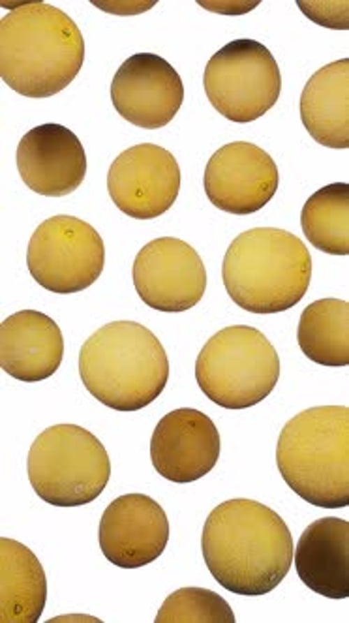 Vertikal schwimmende Melonen auf weißem Grund