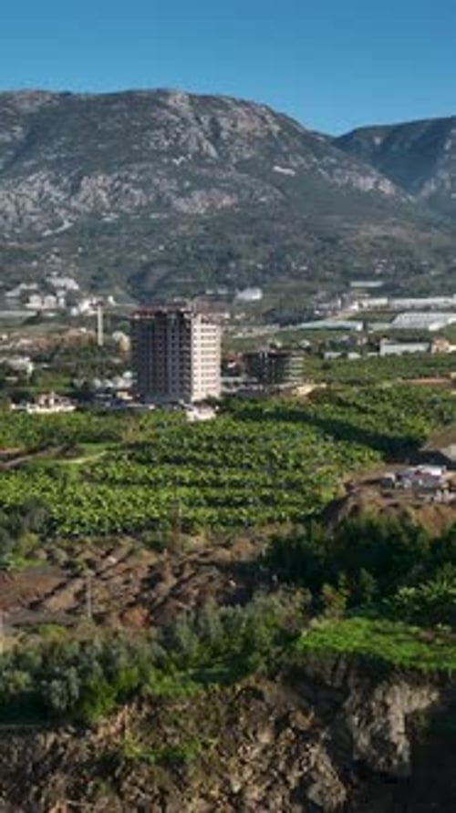 Vídeo vertical que muestra la construcción de una casa en medio del oasis verde de la costa mediterránea