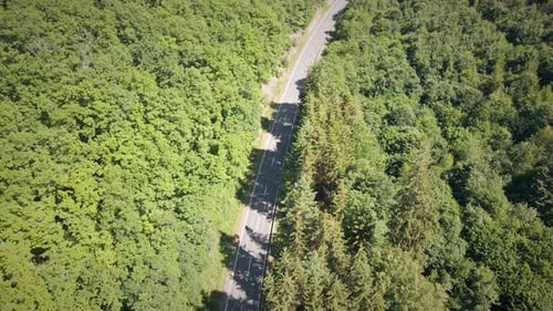 Aerial Tracking Shot Of An Empty Road Enclosed By Two Lines Of A Forest