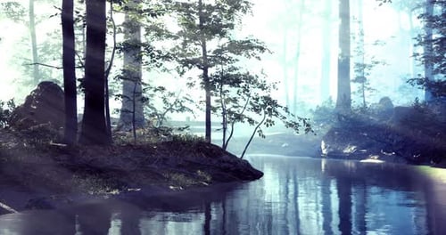Misty Forest with Serene Water Reflecting Sunlight at Dawn