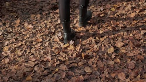 Walking on Autumn Leaves A Close-up of Woman's Boots While Walking in Forest