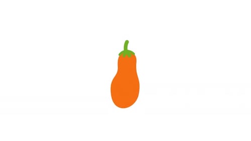 Aubergine symbol icon animation video
