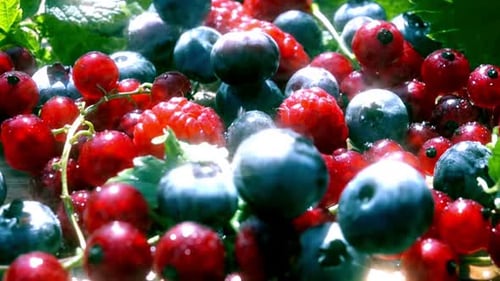 Fresh Red Currants, Blueberries and Raspberries Close Up