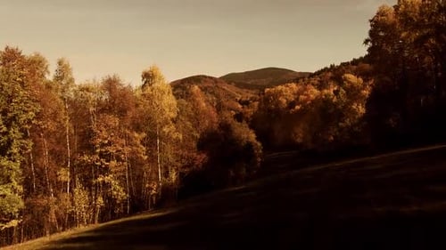Soar above the serene countryside with our "Countryside with Hills by Drone" footage, capturing swee
