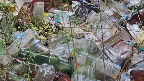 Garbage Dump of Plastic and Bottles in the Forest