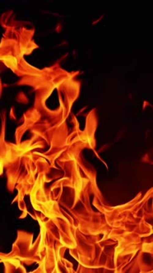 Feuerzungen steigen in die Luft. Lagerfeuer isoliert auf dem schwarzen Hintergrund. Nahaufnahme. Vertikales Video