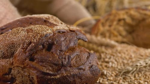 Rustic Loaf of Bread Surrounded by Golden Wheat