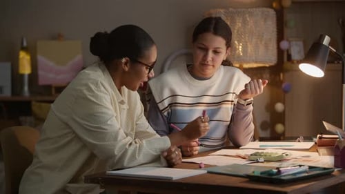 Teen Girls Studying Together at Desk Indoors at Home